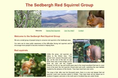 Link to Sedbergh Red Squirrels website